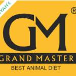 grandmaster global