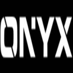 onyxfitness equipment