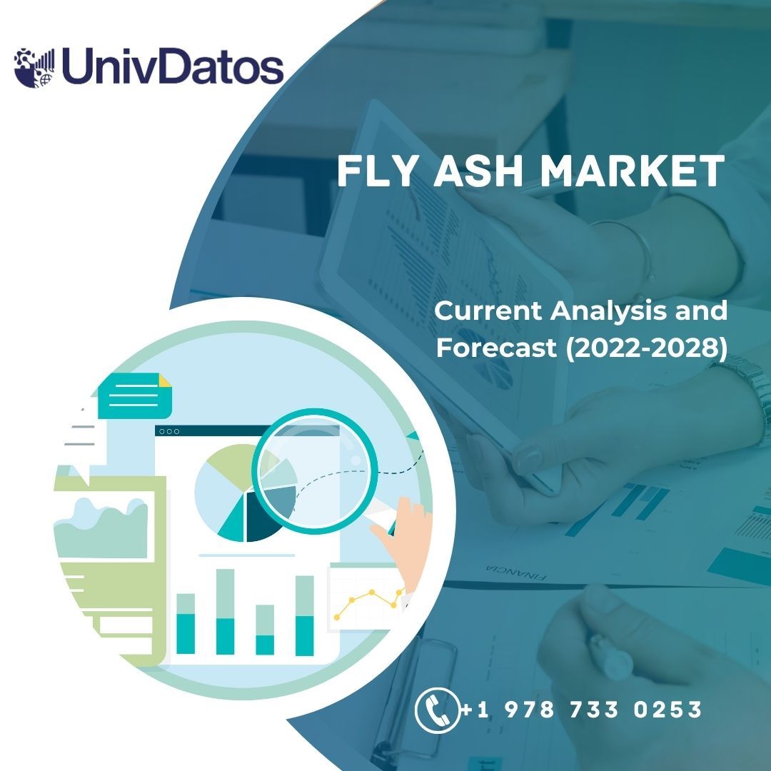 Fly Ash Market Size, Growth, Trends (2022-2028)
