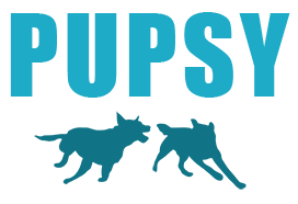 Pupsy